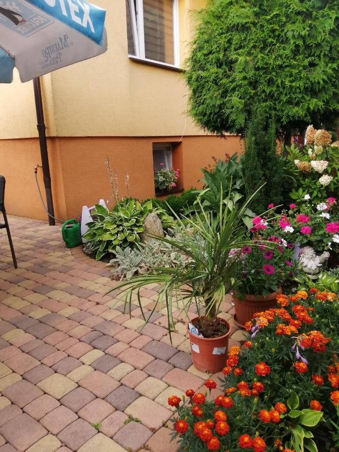 Appartement U Eli I Jurka à Sztutowo Extérieur photo